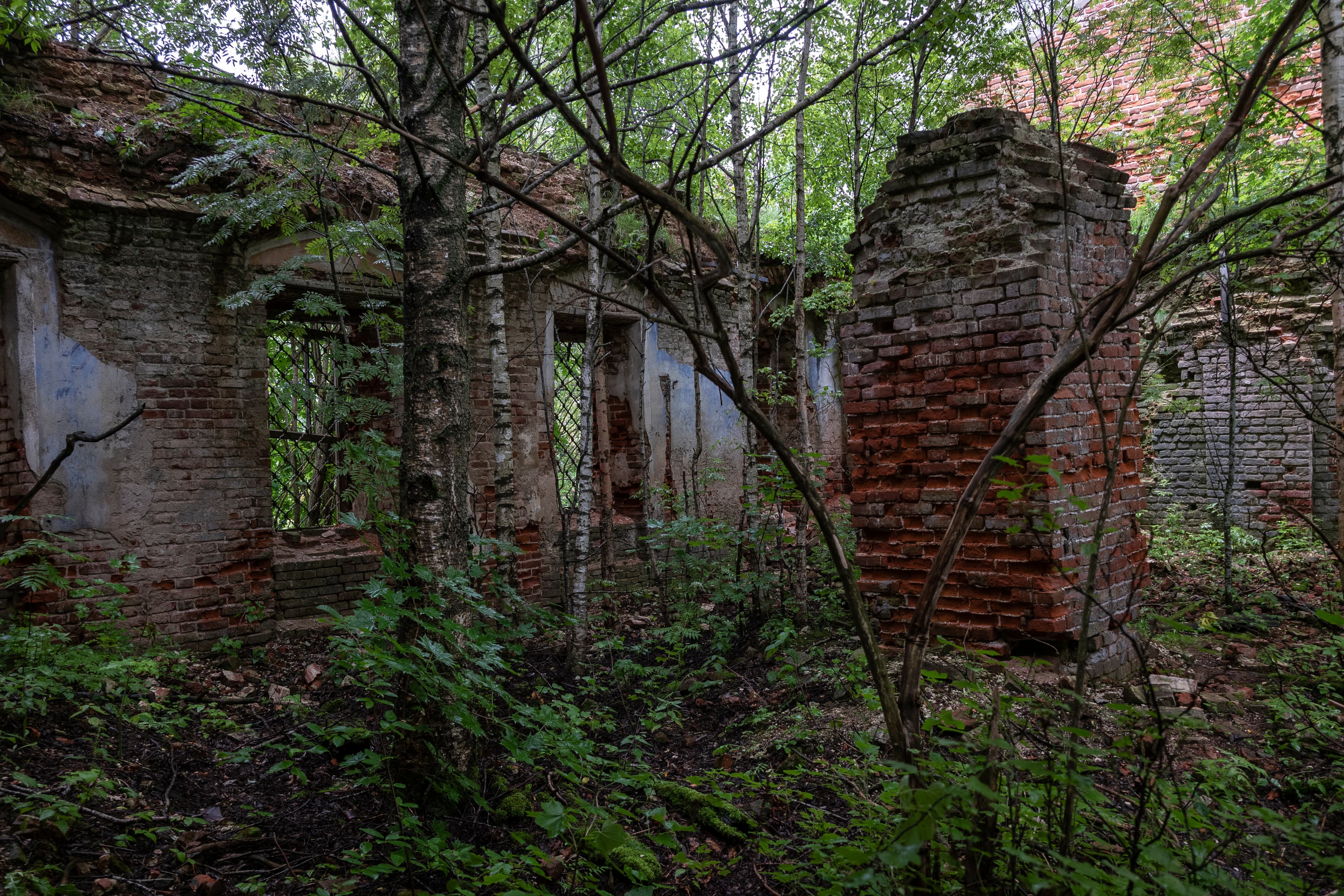 Paraskeva Pyatnitsa church (Nikiforovo, Ustyuzhensky District)
