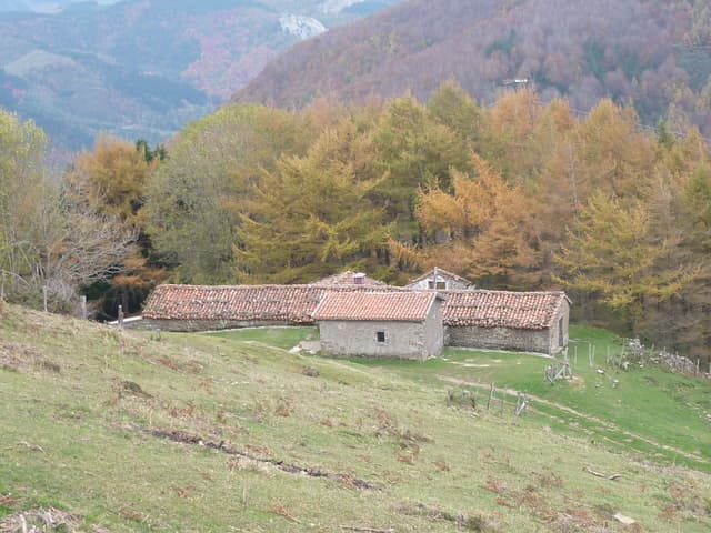 Sancti Spiritus baseliza
