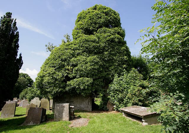 New Cumnock Old Church