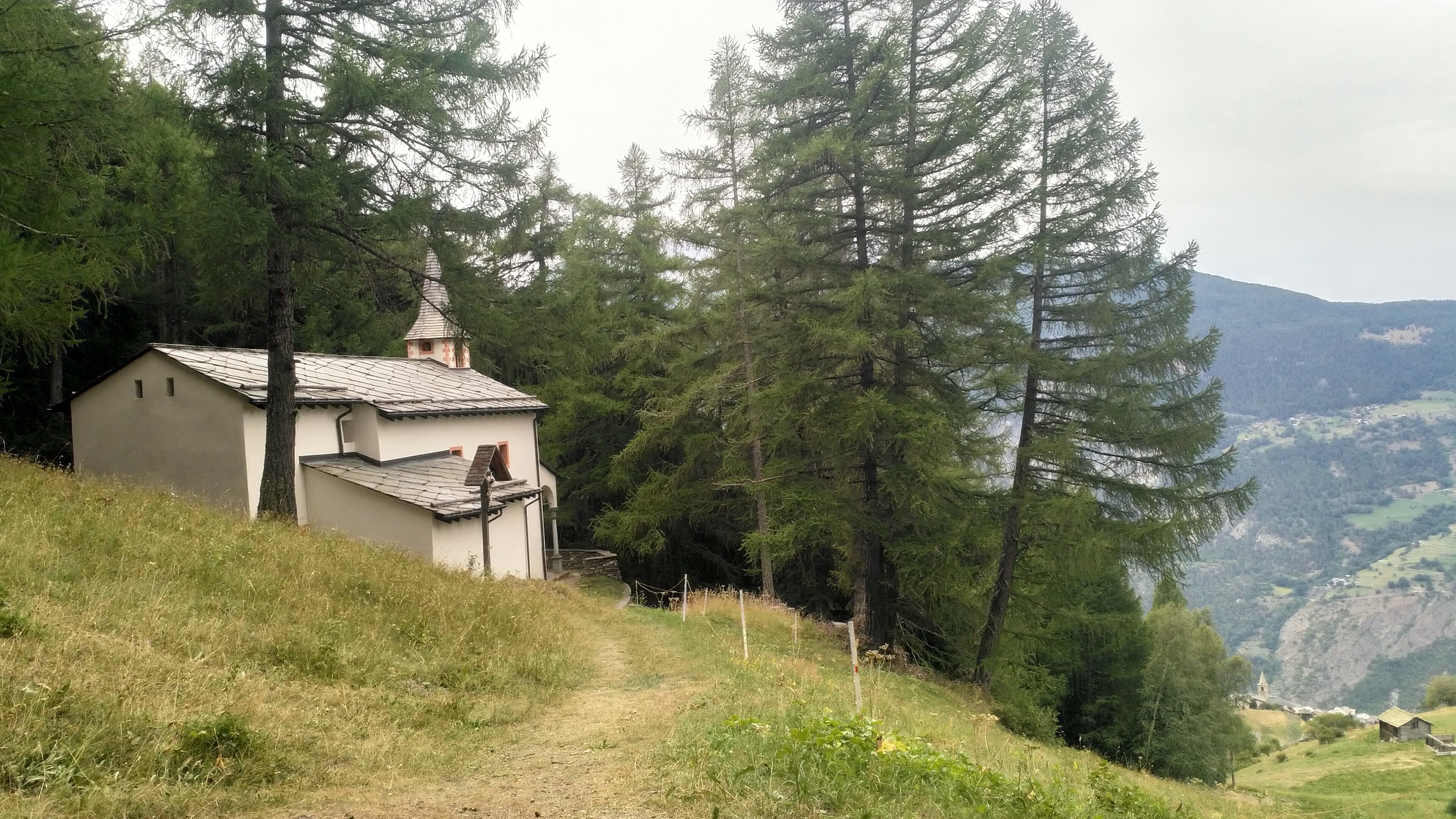 Forest chapel